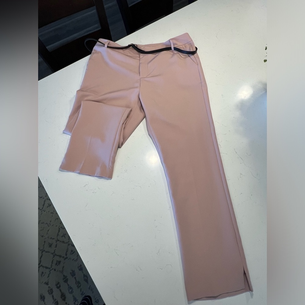 ACTIVE USA Mauve Trouser straight leg Dress Pants size 1X
